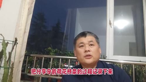 又分享令箭荷花了，枝条越来越少了