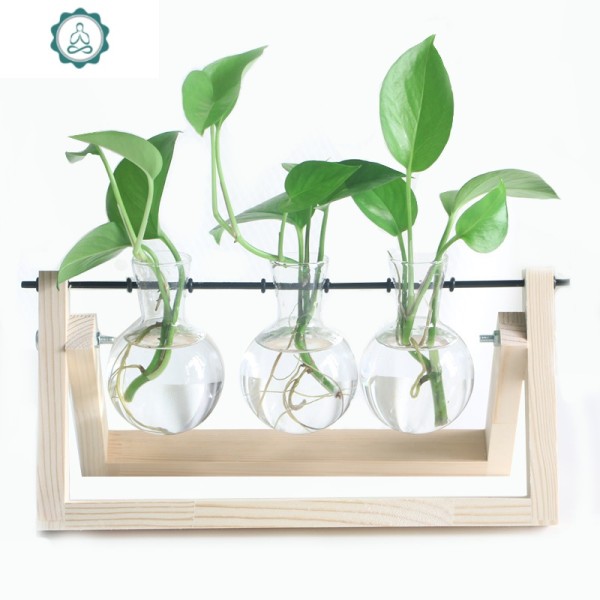 创意绿萝水培花瓶摆件玻璃可爱迷你桌面小花瓶水水培花