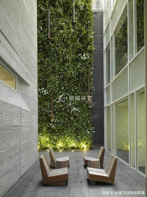 10个私家庭院植物墙案例分享图文