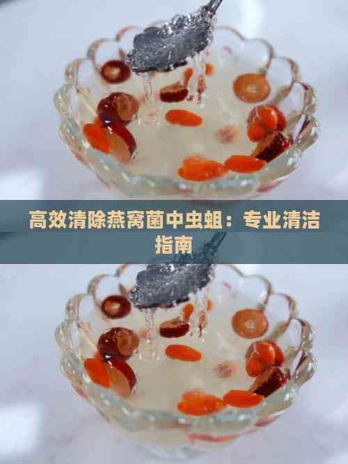 高效清除燕窝菌中虫蛆：专业清洁指南