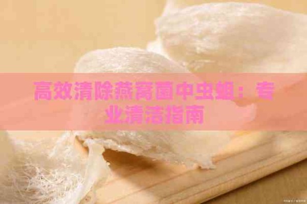 高效清除燕窝菌中虫蛆：专业清洁指南