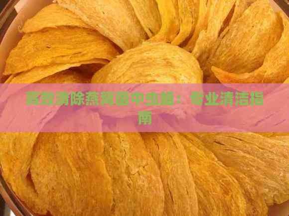 高效清除燕窝菌中虫蛆：专业清洁指南