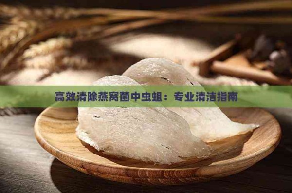 高效清除燕窝菌中虫蛆：专业清洁指南