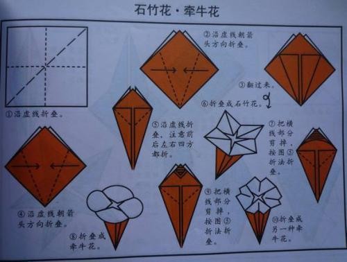 折纸大全图解植物