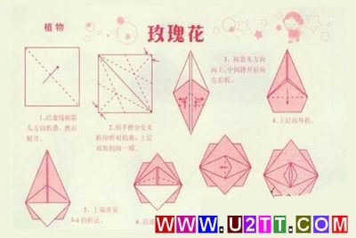 简单玫瑰花折纸玫瑰花简单折法折纸植物 - 育-122kb