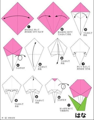 简单的折纸植物