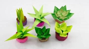 花样折纸教程多肉植物盆栽的折纸方法简单又可爱