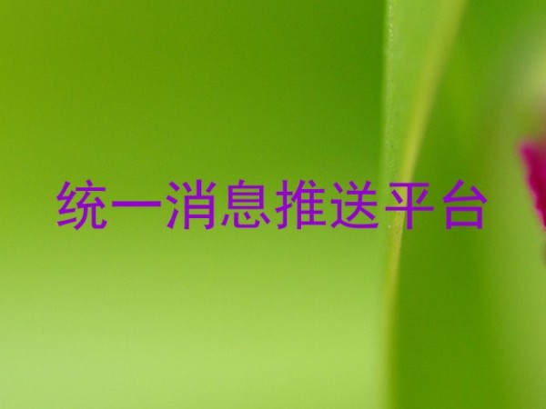 统一消息推送平台
