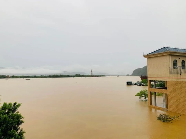 洪涝灾后不知道如何清洁、消毒和做好个人防护？快看这里→