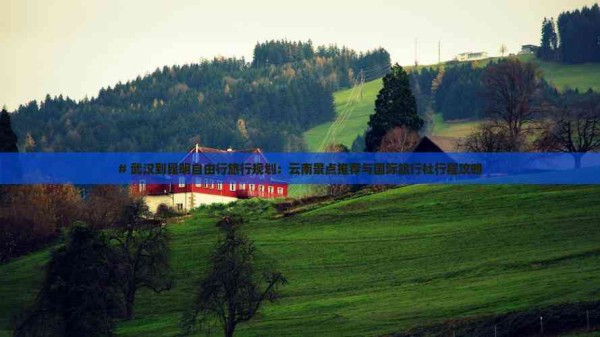 # 武汉到昆明自由行旅行规划:云南景点推荐与国际旅行社行程攻略