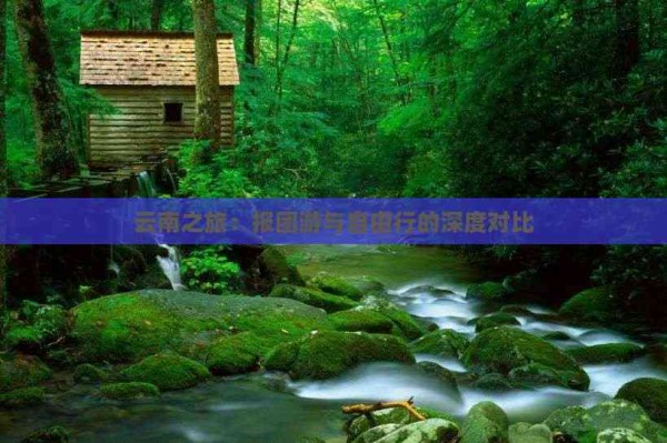 云南之旅:报团游与自由行的深度对比