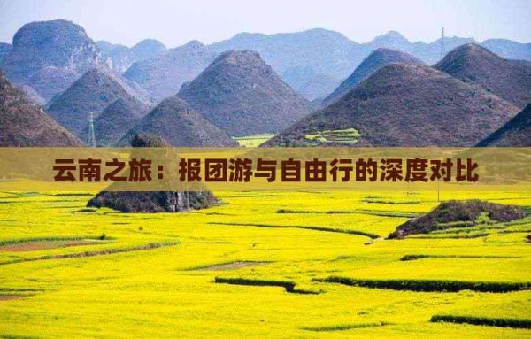云南之旅:报团游与自由行的深度对比