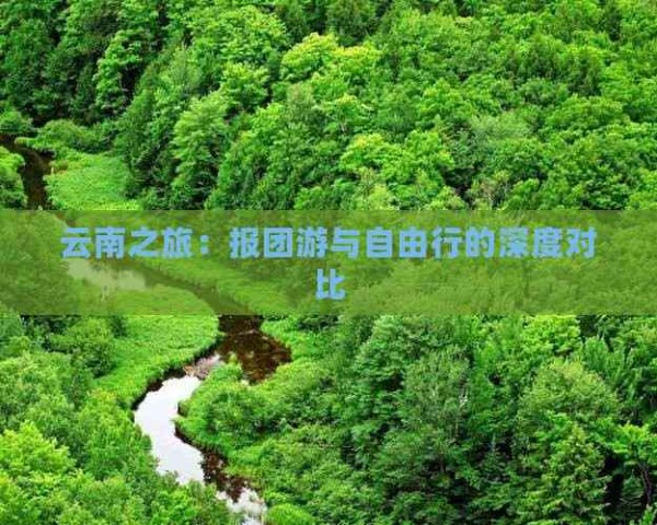 云南之旅:报团游与自由行的深度对比