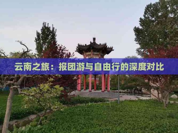 云南之旅:报团游与自由行的深度对比