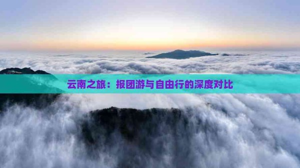 云南之旅:报团游与自由行的深度对比