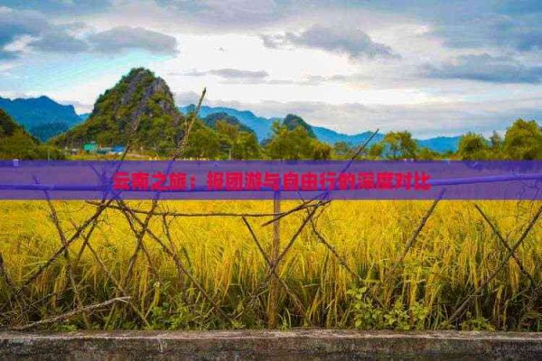 云南之旅:报团游与自由行的深度对比