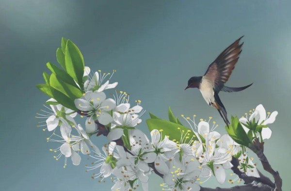 陕西野生动植物保护有奖举报办法来了