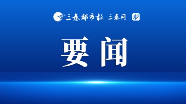 全省安全生产暨森林草原防灭火工作视频调度会召开