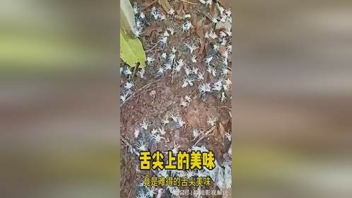 舌尖上的美味，油炸最香