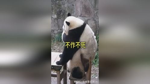 妈妈，我们一起来后空翻吧