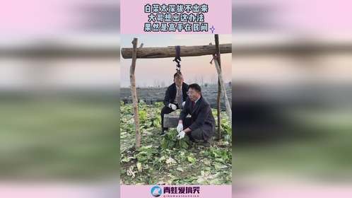 白菜太深拔不出来，大哥想出这办法，果然是高手在民间！