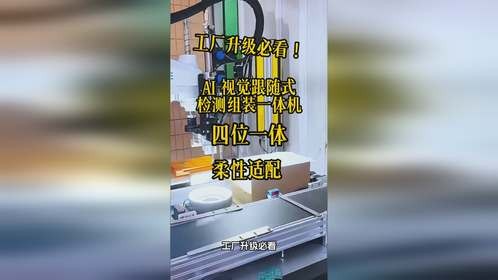 AI 视觉跟随式检测组装一体机