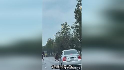 外国人开车，哪有好揍吧