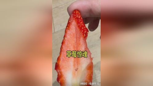 救命啊，草莓吃了一半发现有虫