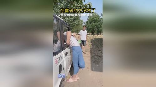 安慕希AI创作大赛