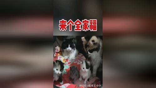 我就纳闷了,中间的是捡来的吧!