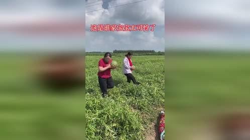 这是谁家宝宝太可怜了