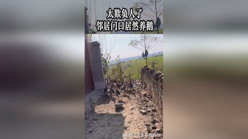 太欺负人了，邻居门口居然养鹅。