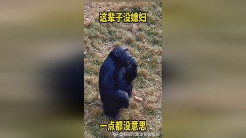 这辈子没媳妇一点都没意思。