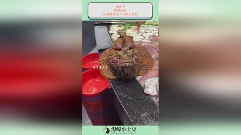 虽然丑，但是好吃！这海鲜是多少人的心头好！