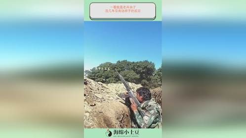 一看就是老兵油子！没几年没有这样子的反应