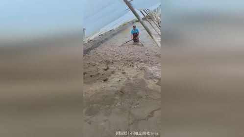 又到啦我们渔民收获的季节