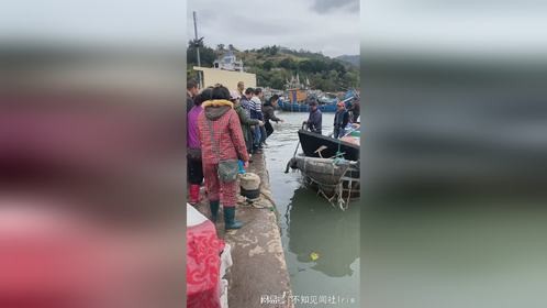 还没到这就抢起来啦