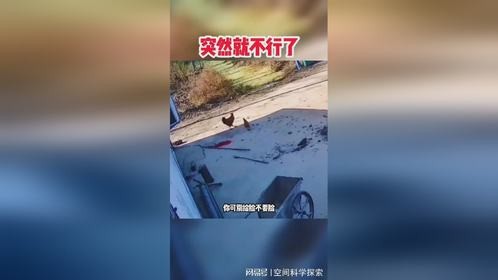突然就不行了
