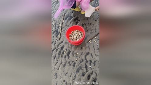 大海最近是咋回事呀