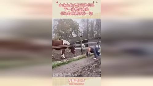 小伙变身公马引诱母马，下一秒局面失控，母马的眼神说明一切