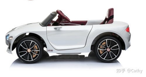 国标电动汽车十大品牌