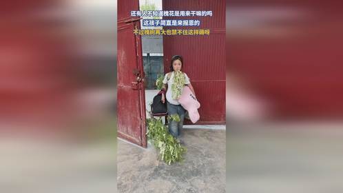 还有人不知道槐花是用来干嘛的吗，这孩子简直是来报恩的