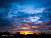 長壽的20個小妙招