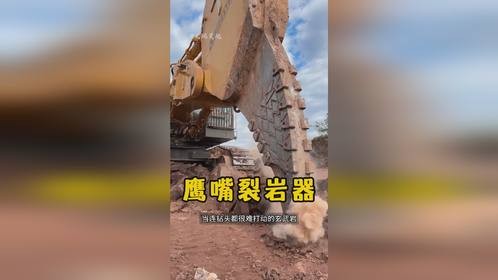 为什么有人愿意花20万美元，买一个挖掘机上的铁钩？