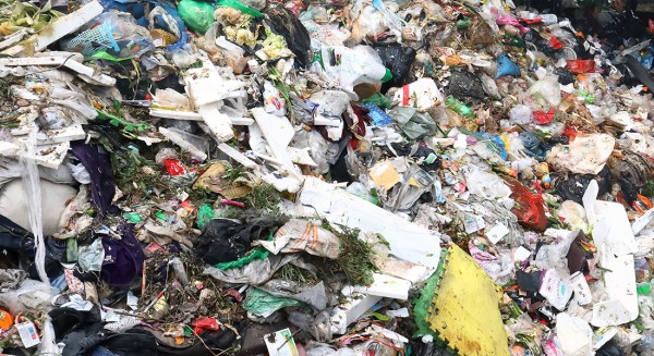 lajiRDFranliao20250321 (5).jpg