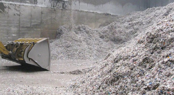 lajiRDFranliao20250321 (6).jpg