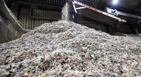 lajiRDFranliao20250321 (3).jpg