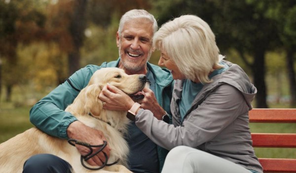 七个步骤，确保舒适退休生活