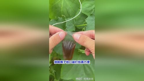 自动绑口袋小妙招