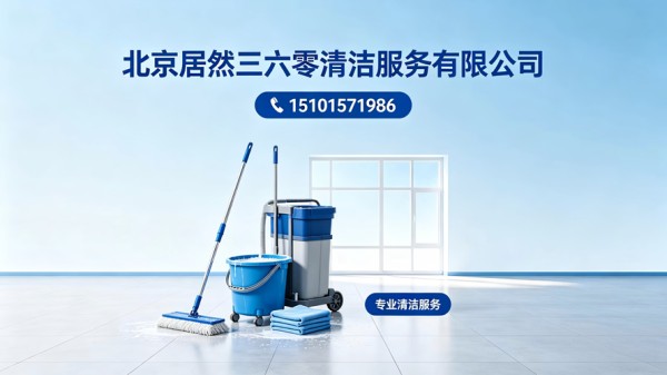 2026指南：优质的地毯清洗/清洗沙发服务排名榜